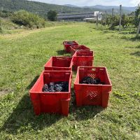 Ergebnis harter Arbeit