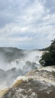 IMG 7360