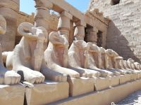 Karnak Tempel - Die Widderphinxallee