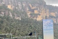 Blue Mountains