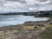 Bondi Beach