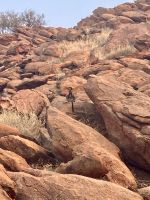Botanischer Garten Alice Springs