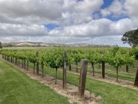 Barossa Valley