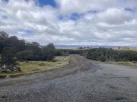 Tasmanien