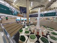 Ankunft am Flughafen Riad