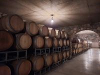 Weingut in Cafayate