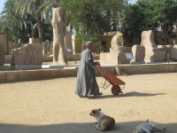 Memphis - die Morgenstimmung