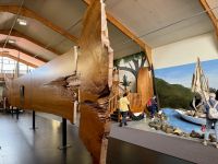 5. Reisetag – Von Auckland nach Paihia – Besuch des Kauri-Museums in Matakohe