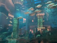 Aquarium Atlantis Hotel