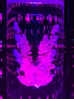 DNA Bibliothek Museum der Zukunft