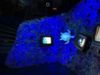 EXPO - Terra Sustainability Pavillon