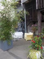 DSCN8330.JPG    Hinterhof