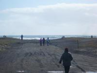 Strand bei Vik