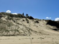 6. Reisetag – Tagesausflug zum Cape Reinga – Aufenthalt am 90 Mile Beach