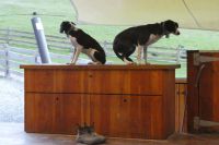 wann geht's denn los?