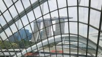 Rundreise Neuseeland // Cloud Forest in Singapur