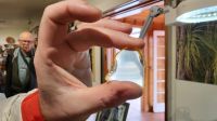 Rundreise Neuseeland // Besuch im Kauri-Museum