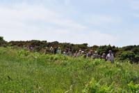 Klippenwanderung auf Jersey