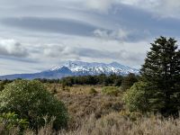 11. Reisetag – Vom Nationalpark nach Wellington – Besuch des Nationalparks – Blick zum Mount Ruapehu