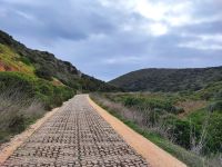 Grüne Impressionen entlang des Weges
