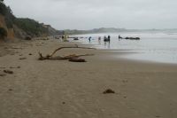 am Strand der Moeraki-Bolders