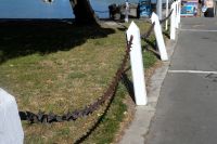 hier schaukelt so schnell niemand