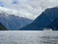 15. Reisetag – Von Dunedin zum Milford Sound – Kreuzfahrtschiff im Milford Sound