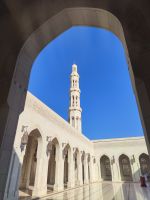 IMG 20231111 084940