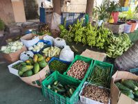 IMG 20231119 120011 1