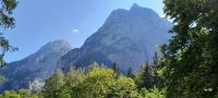 Wilde Kaiser von Griesneralm