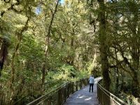 16. Reisetag – Vom Milford Sound nach Queenstown – Rückfahrt nach Te Anau – Spaziergang zum Chasm