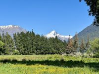 18. Reisetag – Von Queenstown zum Fox-Gletscher – Mittagspause im Makarora Country Café – Blick zum Gipfel des Mount Pollux