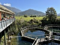 18. Reisetag – Von Queenstown zum Fox-Gletscher – South Westland Salmon Farm Café