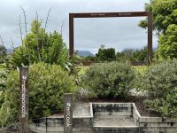 19. Reisetag – Vom Fox-Gletscher nach Greymouth – Morgenspaziergang zum Lake Matheson