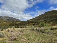20. Reisetag – Von Greymouth nach Christchurch – Mit dem Tranzalpine durch die Berge