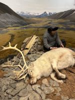 Polarmuseum in Tromsø
