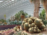 Flower Dome, Singapur