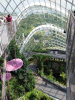 Cloud Forest, Singapur