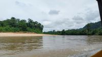 Bootsfahrt im Taman Negara Nationalpark, Malaysia