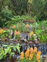 Singapur - Botanischer Garten