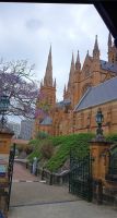Sydney - St. Marys Kathedrale
