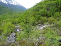 Wanderung zum Huemul-Gletscher