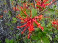 Perito-Moreno-Gletscher bei El Calafate