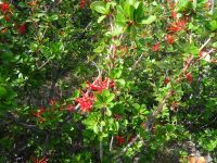 Nationalpark Torres del Paine