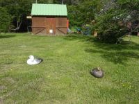 Nationalpark Torres del Paine