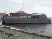 Isla Magdalena bei Punta Arenas