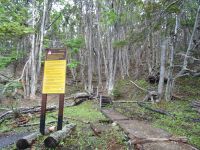 Wanderung im Feuerland-Nationalpark
