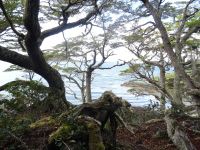 Wanderung im Feuerland-Nationalpark