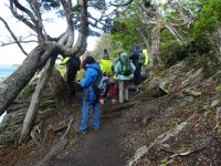 Wanderung im Feuerland-Nationalpark