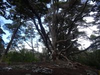 Wanderung im Feuerland-Nationalpark